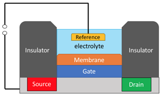 ترانزیستور Chemical field-effect transistor